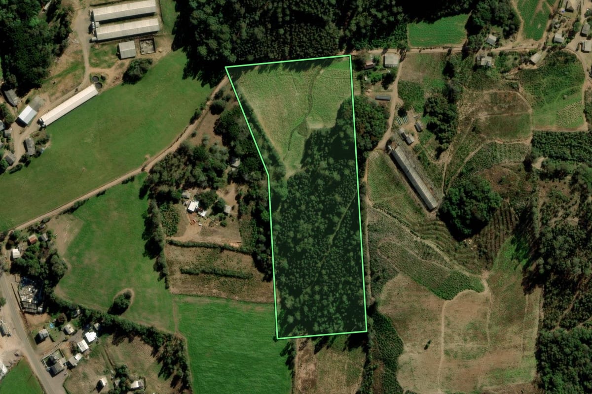 Imagem de satélite do imóvel rural em Arvorezinha (RS), com o contorno declarado no CAR desenhado por cima.