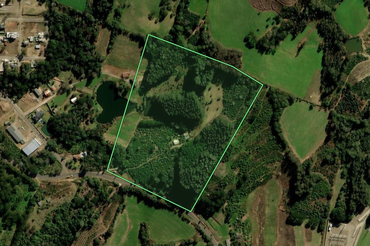 Imagem de satélite do imóvel rural em Arvorezinha (RS), com o contorno declarado no CAR desenhado por cima.