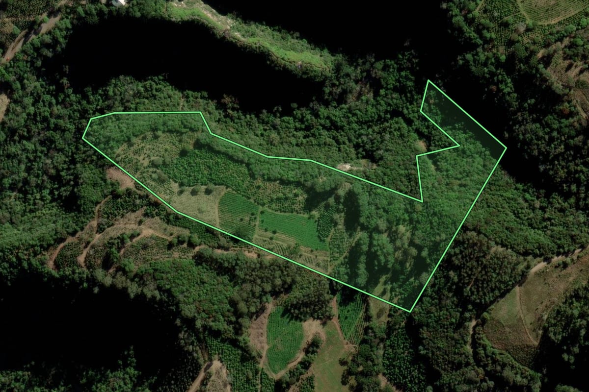 Imagem de satélite do imóvel rural em Arvorezinha (RS), com o contorno declarado no CAR desenhado por cima.