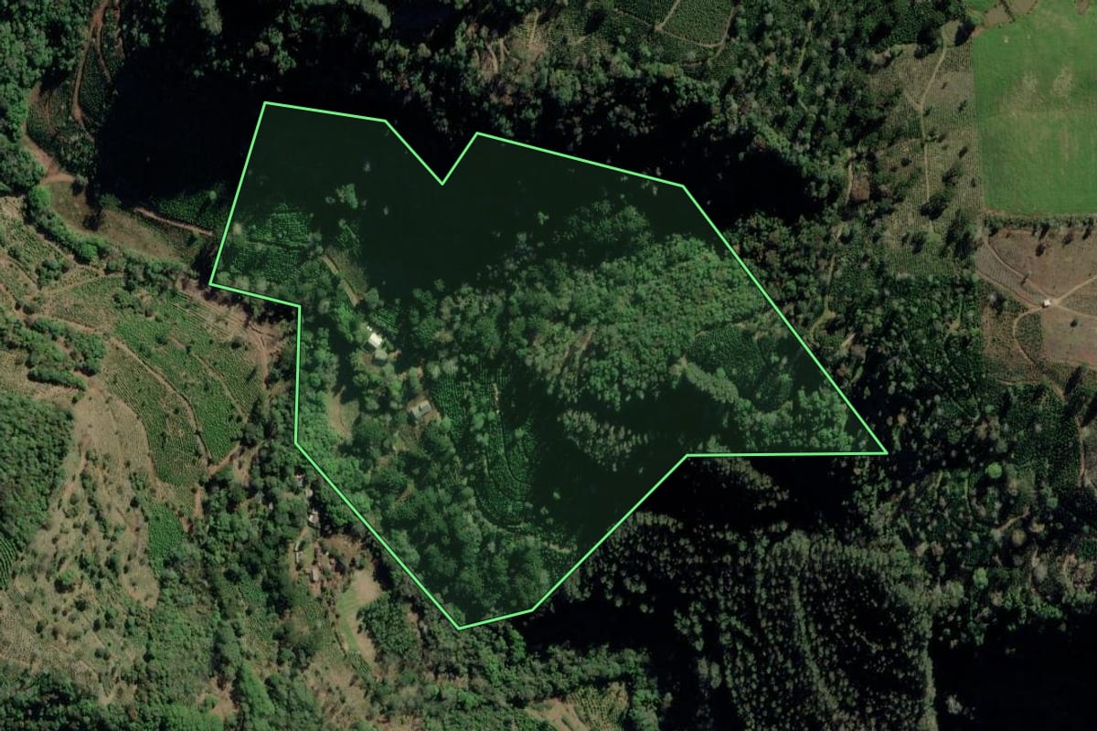 Imagem de satélite do imóvel rural em Arvorezinha (RS), com o contorno declarado no CAR desenhado por cima.
