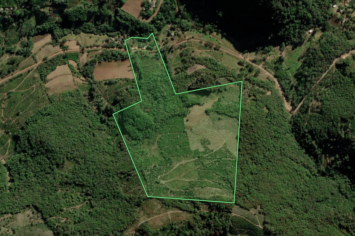 Imagem de satélite do imóvel rural em Arvorezinha (RS), com o contorno declarado no CAR desenhado por cima.