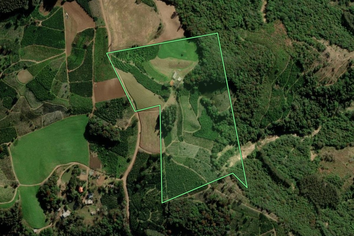 Imagem de satélite do imóvel rural em Arvorezinha (RS), com o contorno declarado no CAR desenhado por cima.