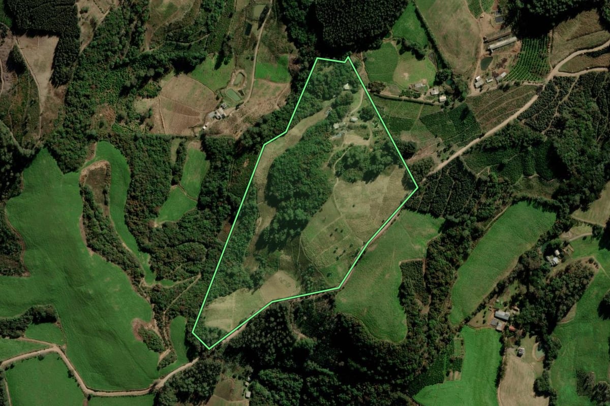 Imagem de satélite do imóvel rural em Arvorezinha (RS), com o contorno declarado no CAR desenhado por cima.