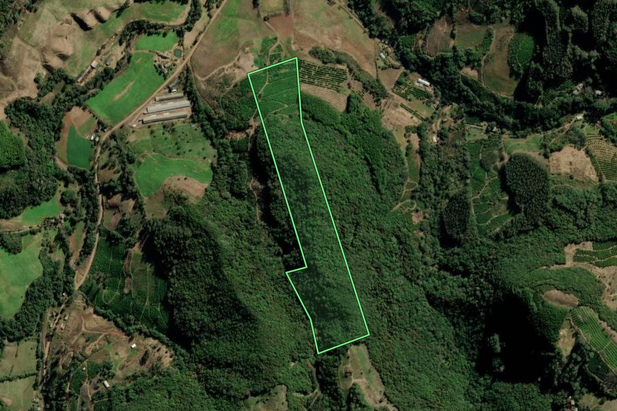 Imagem de satélite do imóvel rural em Arvorezinha (RS), com o contorno declarado no CAR desenhado por cima.