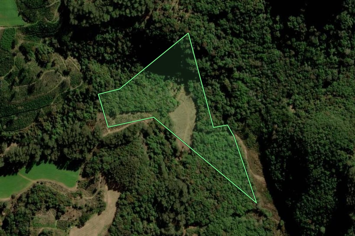 Imagem de satélite do imóvel rural em Arvorezinha (RS), com o contorno declarado no CAR desenhado por cima.
