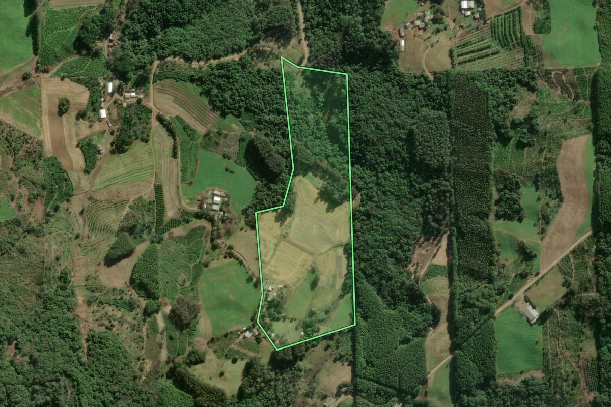 Imagem de satélite do imóvel rural em Arvorezinha (RS), com o contorno declarado no CAR desenhado por cima.