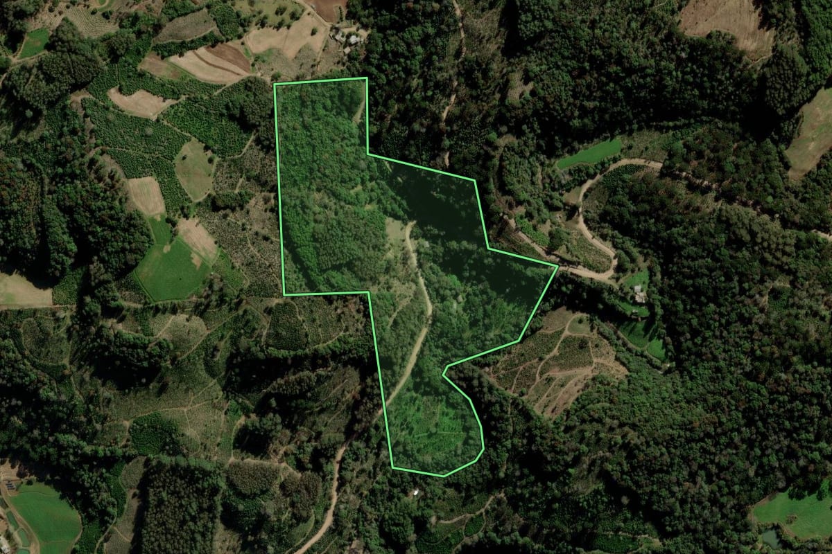 Imagem de satélite do imóvel rural em Arvorezinha (RS), com o contorno declarado no CAR desenhado por cima.