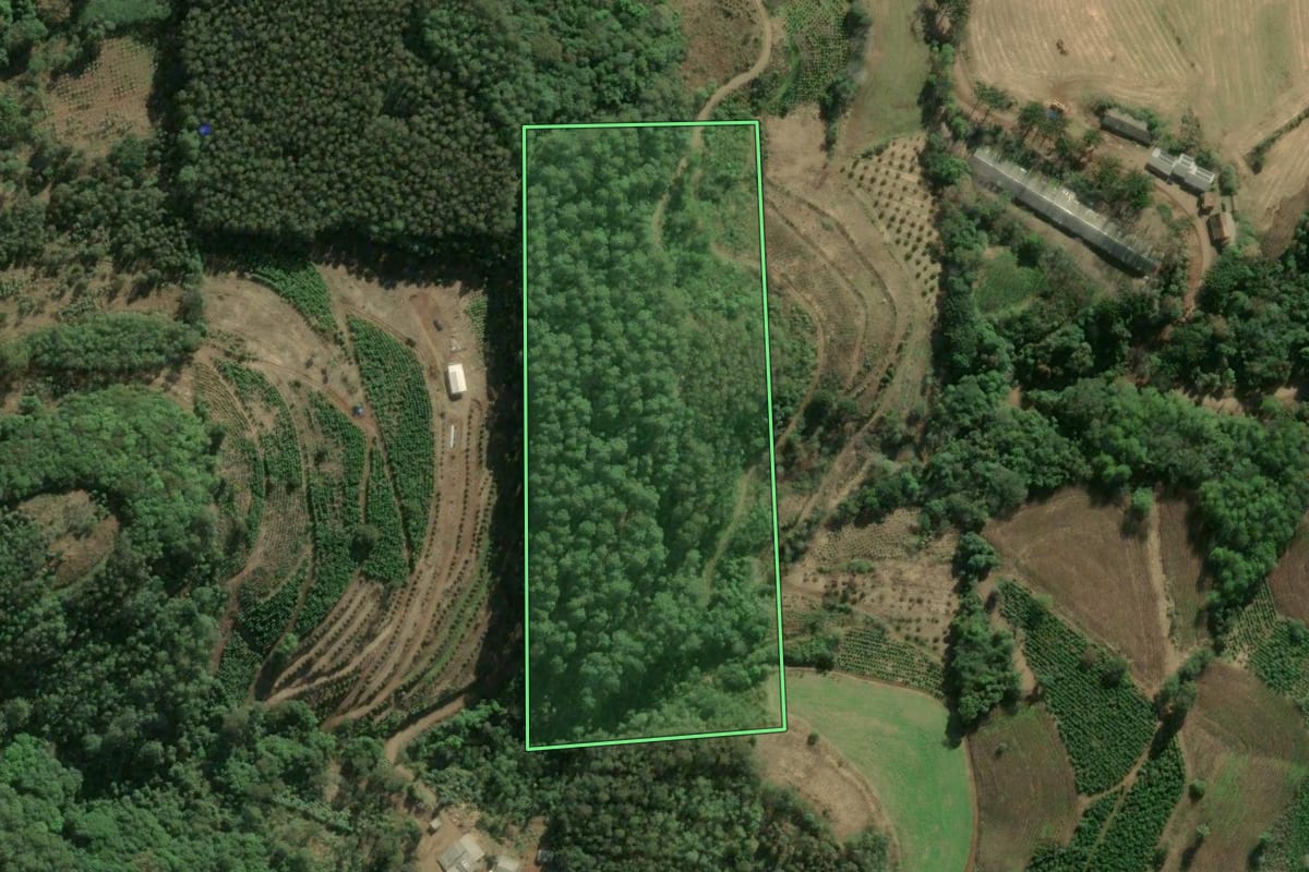 Imagem de satélite do imóvel rural em Arvorezinha (RS), com o contorno declarado no CAR desenhado por cima.