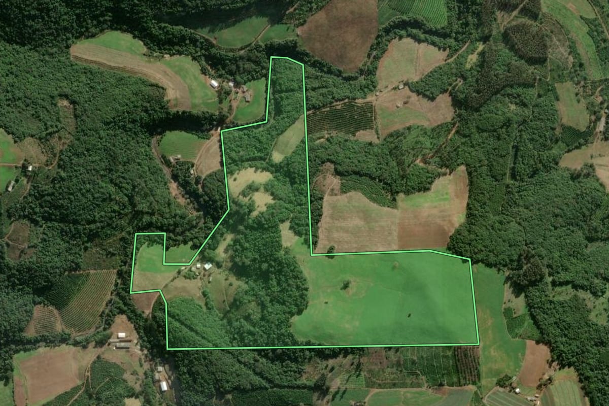 Imagem de satélite do imóvel rural em Arvorezinha (RS), com o contorno declarado no CAR desenhado por cima.