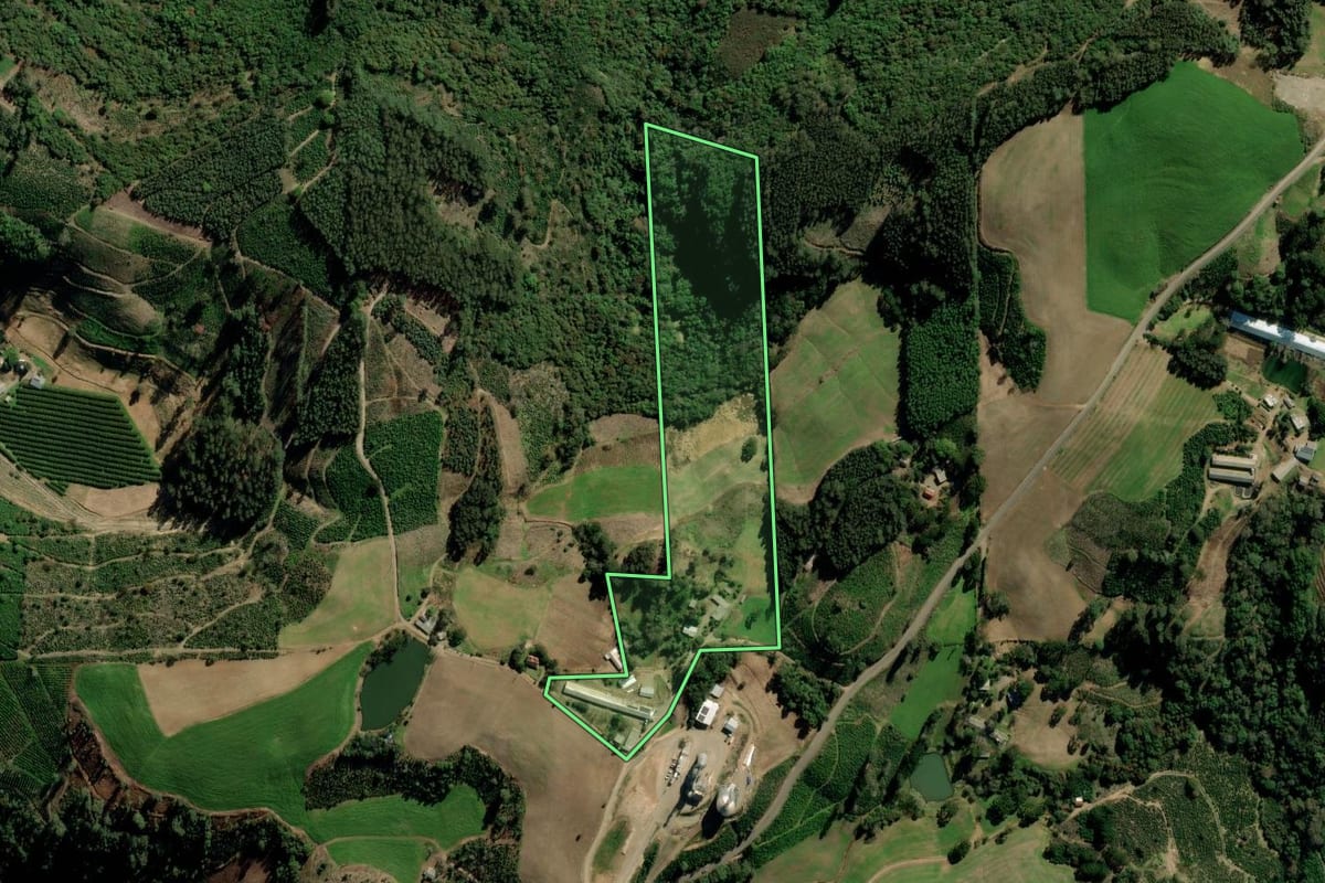 Imagem de satélite do imóvel rural em Arvorezinha (RS), com o contorno declarado no CAR desenhado por cima.