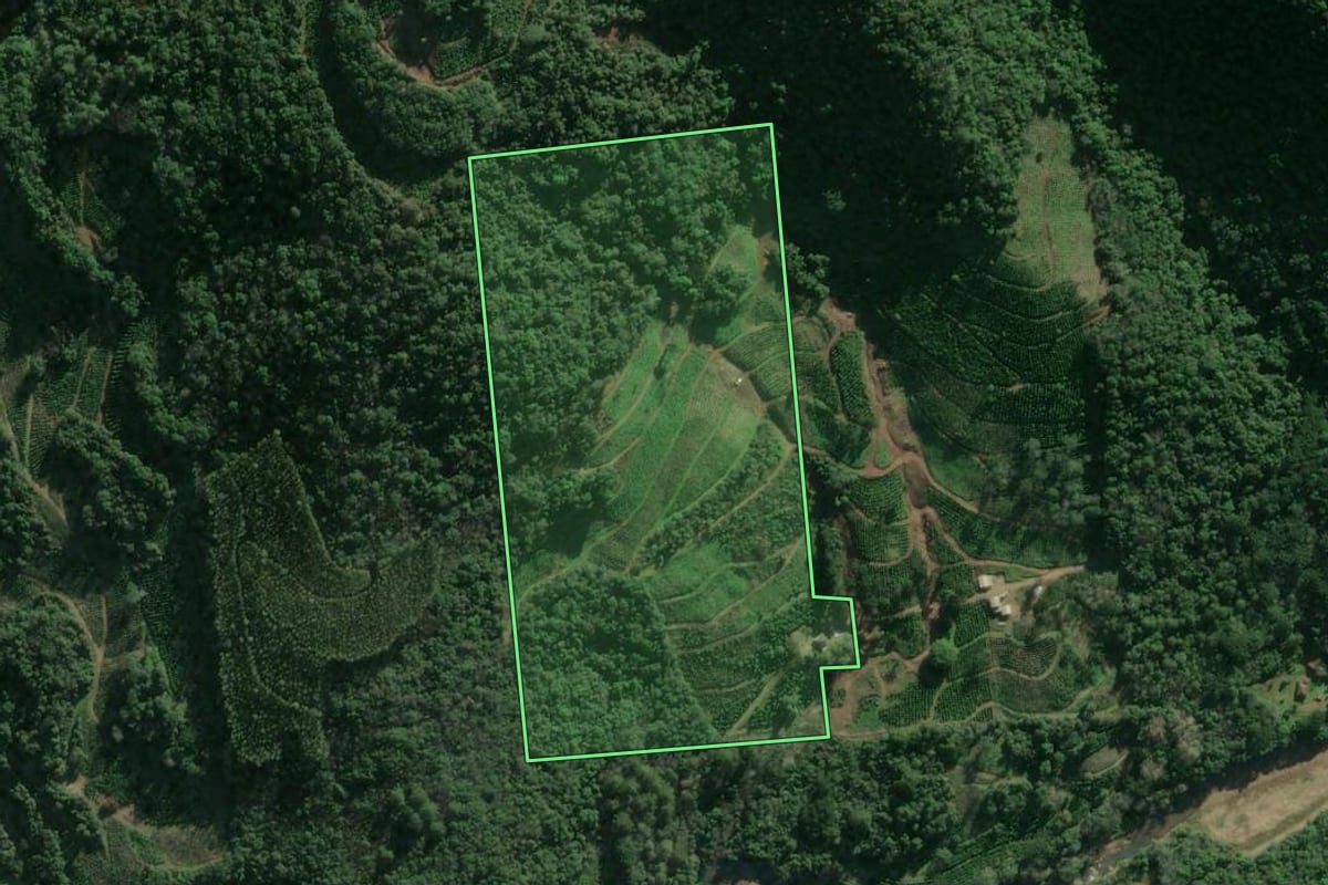 Imagem de satélite do imóvel rural em Arvorezinha (RS), com o contorno declarado no CAR desenhado por cima.