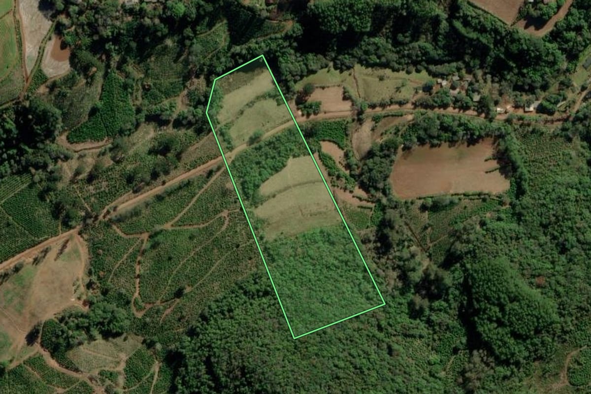 Imagem de satélite do imóvel rural em Arvorezinha (RS), com o contorno declarado no CAR desenhado por cima.