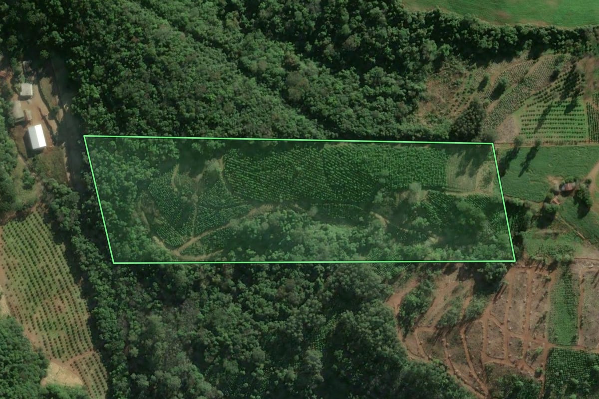 Imagem de satélite do imóvel rural em Arvorezinha (RS), com o contorno declarado no CAR desenhado por cima.