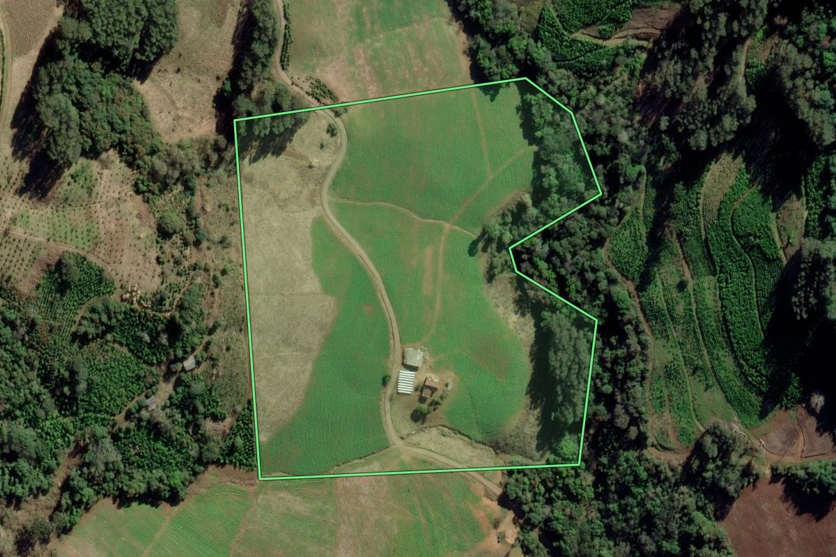 Imagem de satélite do imóvel rural em Arvorezinha (RS), com o contorno declarado no CAR desenhado por cima.