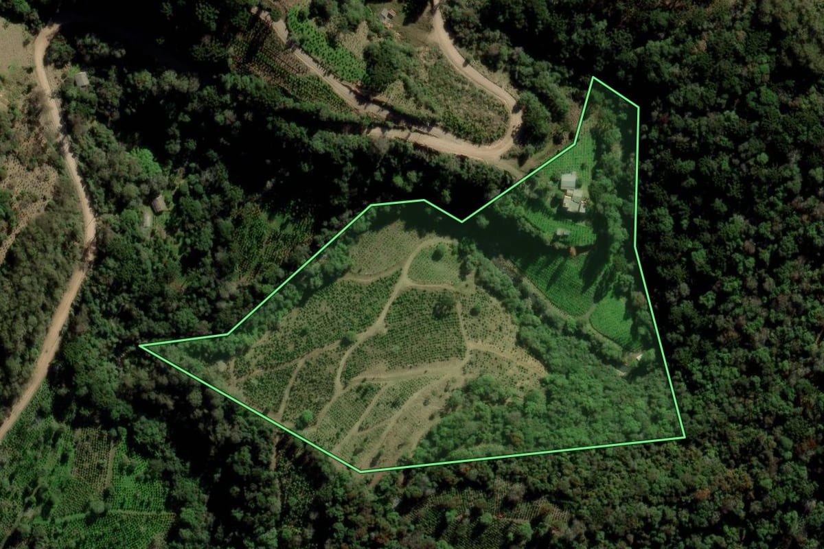 Imagem de satélite do imóvel rural em Arvorezinha (RS), com o contorno declarado no CAR desenhado por cima.