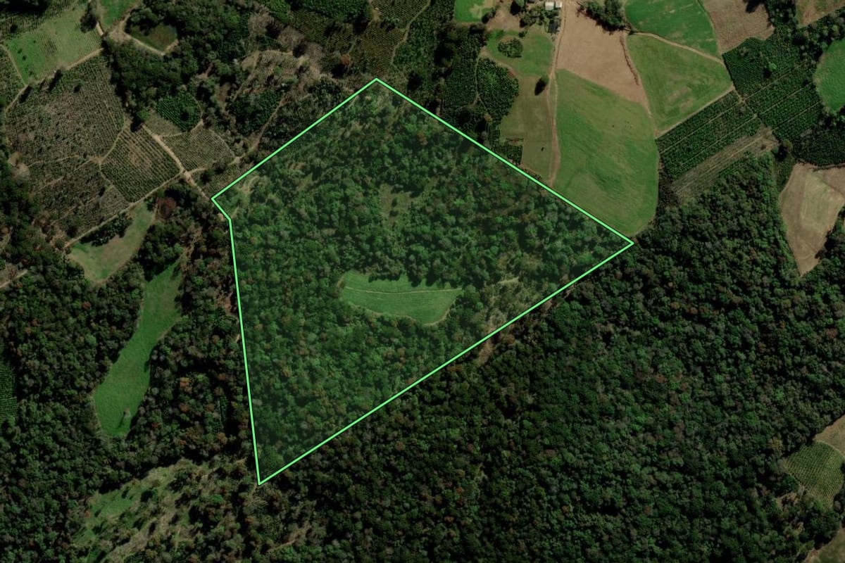 Imagem de satélite do imóvel rural em Arvorezinha (RS), com o contorno declarado no CAR desenhado por cima.