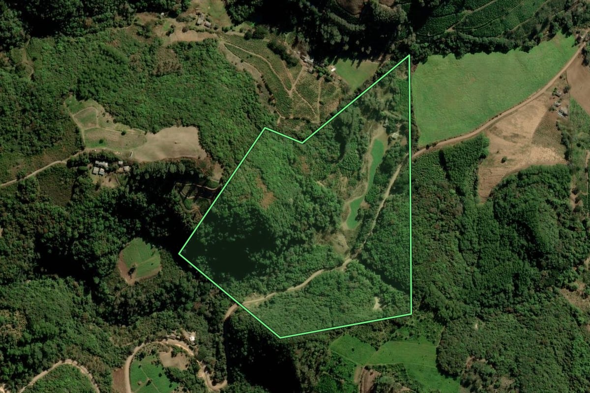 Imagem de satélite do imóvel rural em Arvorezinha (RS), com o contorno declarado no CAR desenhado por cima.