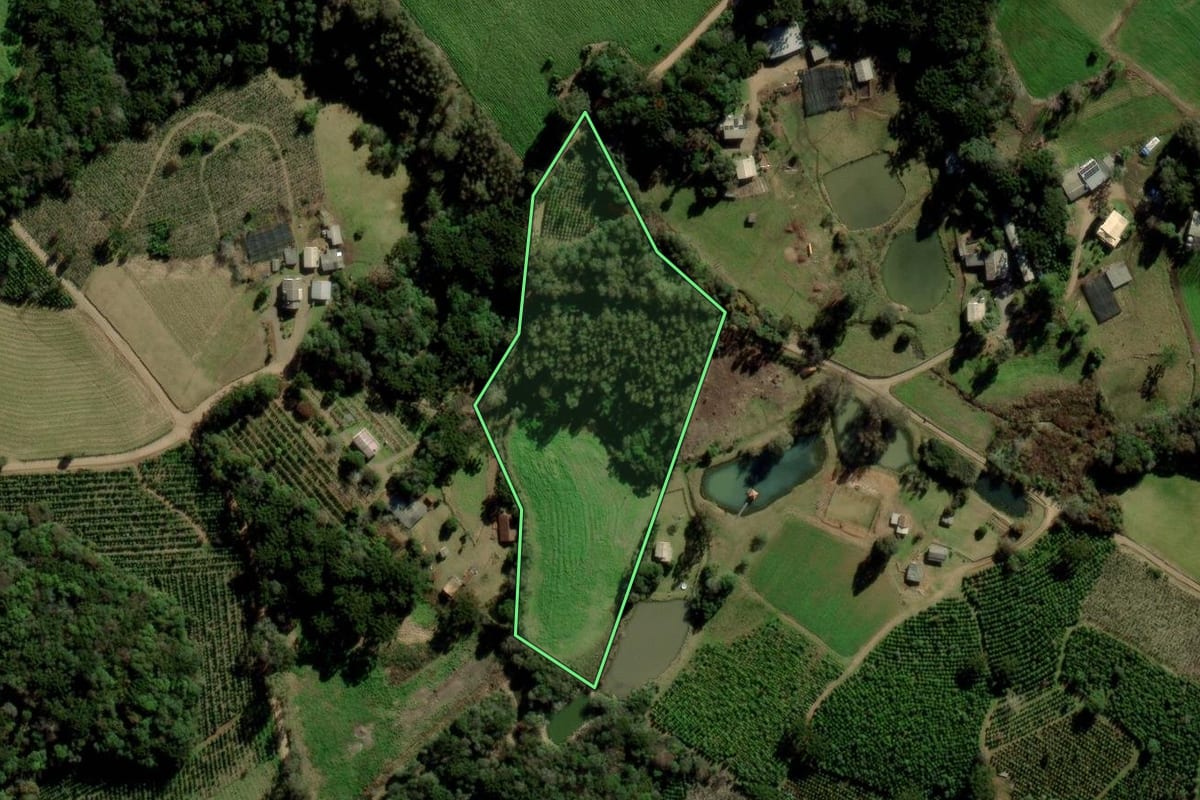 Imagem de satélite do imóvel rural em Arvorezinha (RS), com o contorno declarado no CAR desenhado por cima.