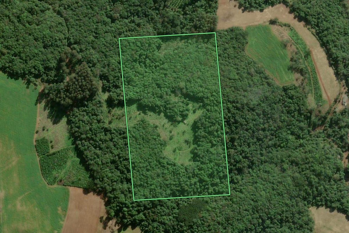 Imagem de satélite do imóvel rural em Arvorezinha (RS), com o contorno declarado no CAR desenhado por cima.