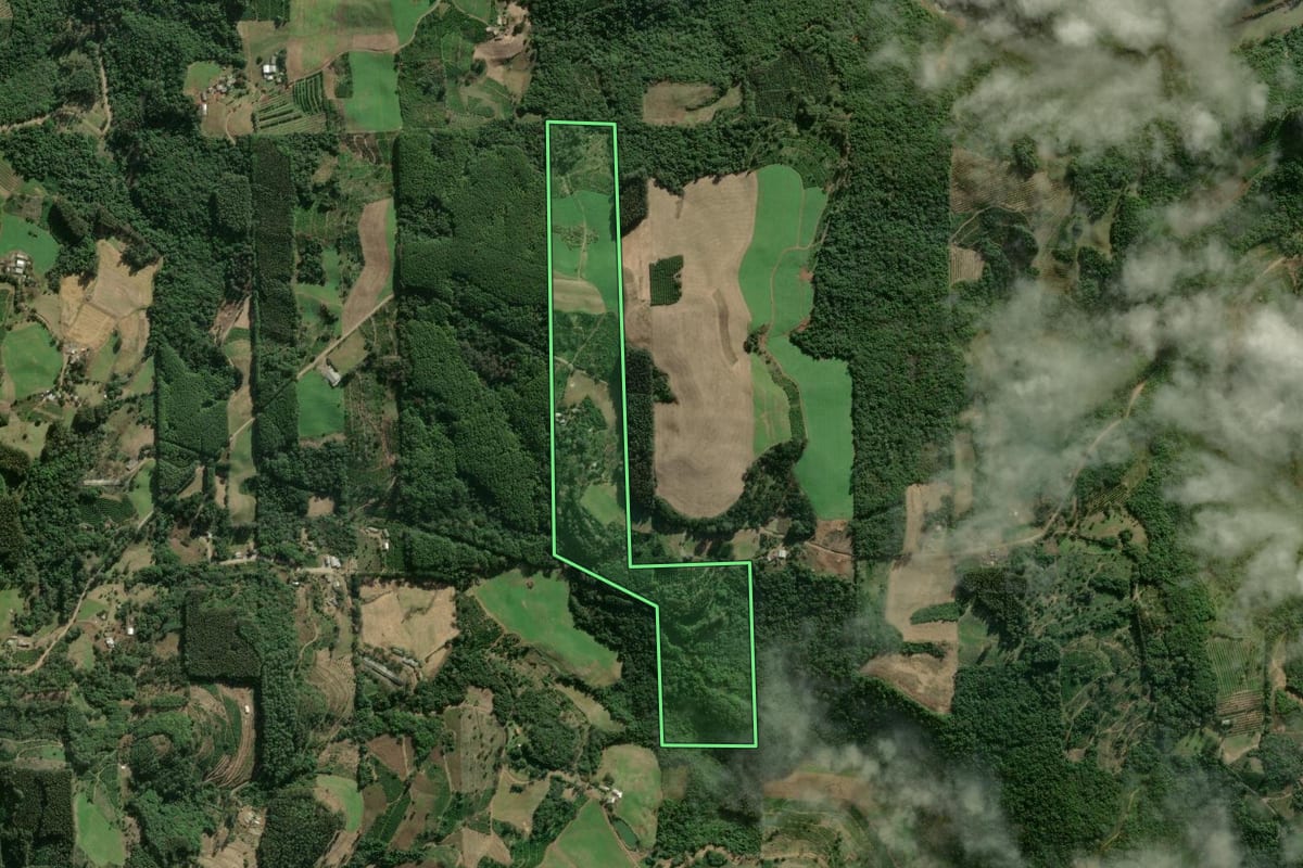 Imagem de satélite do imóvel rural em Arvorezinha (RS), com o contorno declarado no CAR desenhado por cima.