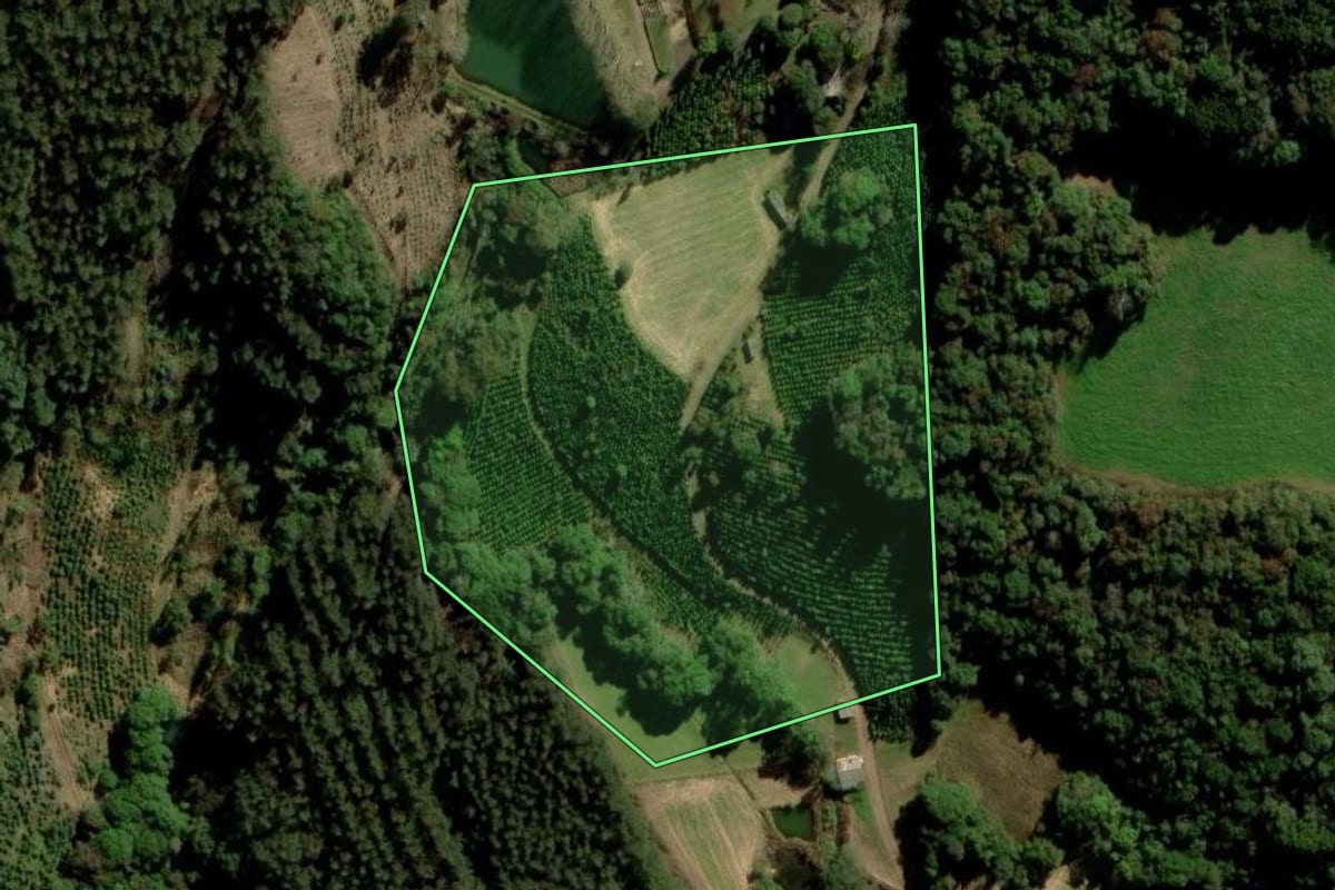 Imagem de satélite do imóvel rural em Arvorezinha (RS), com o contorno declarado no CAR desenhado por cima.