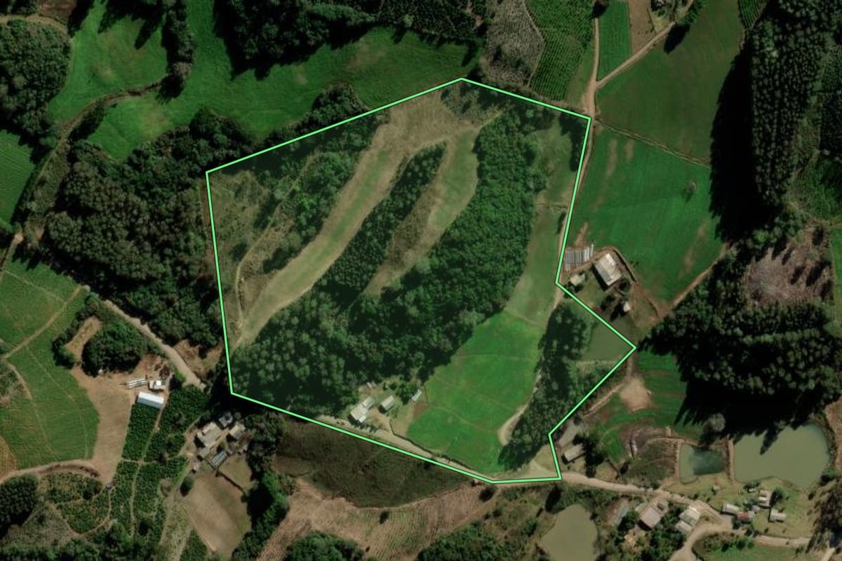 Imagem de satélite do imóvel rural em Arvorezinha (RS), com o contorno declarado no CAR desenhado por cima.