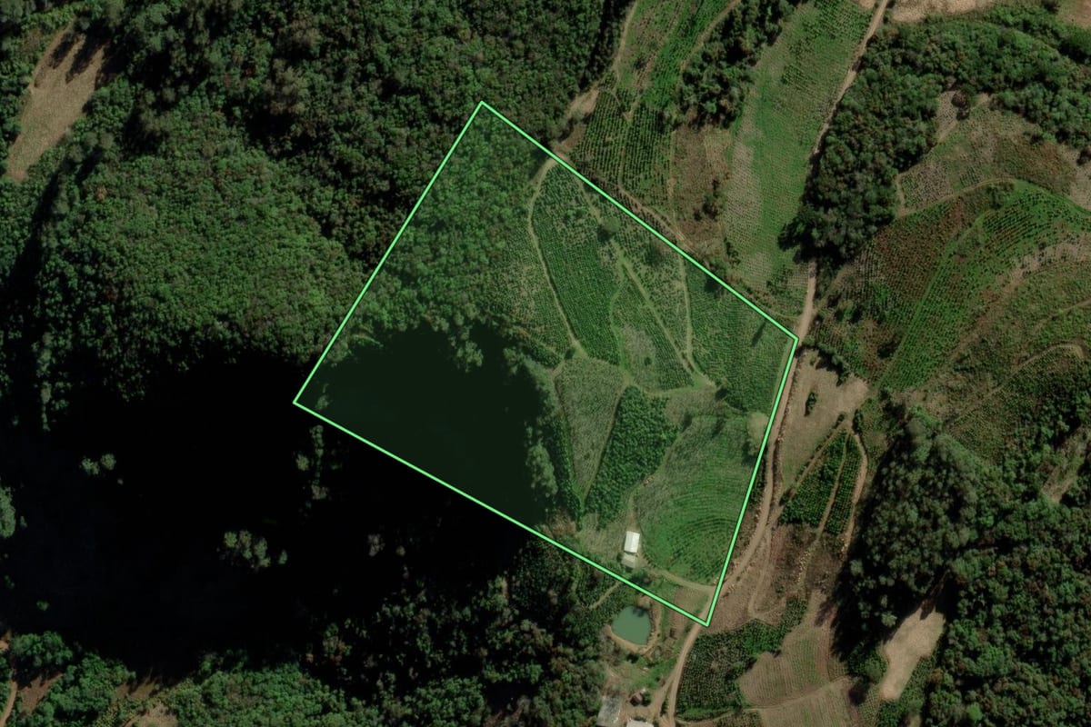 Imagem de satélite do imóvel rural em Arvorezinha (RS), com o contorno declarado no CAR desenhado por cima.