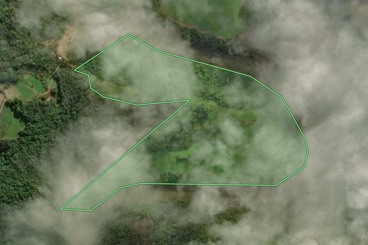 Imagem de satélite do imóvel rural em Arvorezinha (RS), com o contorno declarado no CAR desenhado por cima.