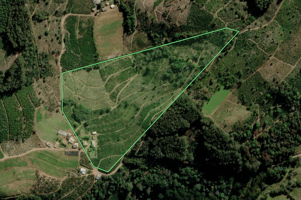 Imagem de satélite do imóvel rural em Arvorezinha (RS), com o contorno declarado no CAR desenhado por cima.