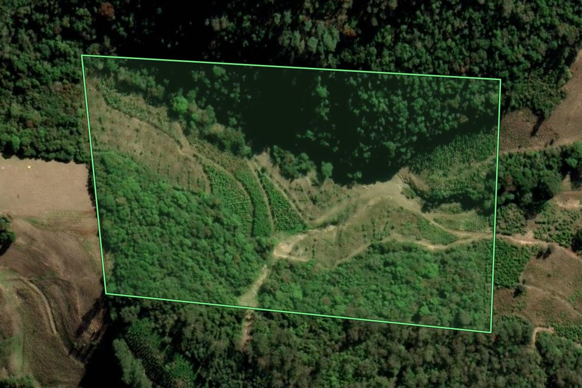 Imagem de satélite do imóvel rural em Arvorezinha (RS), com o contorno declarado no CAR desenhado por cima.