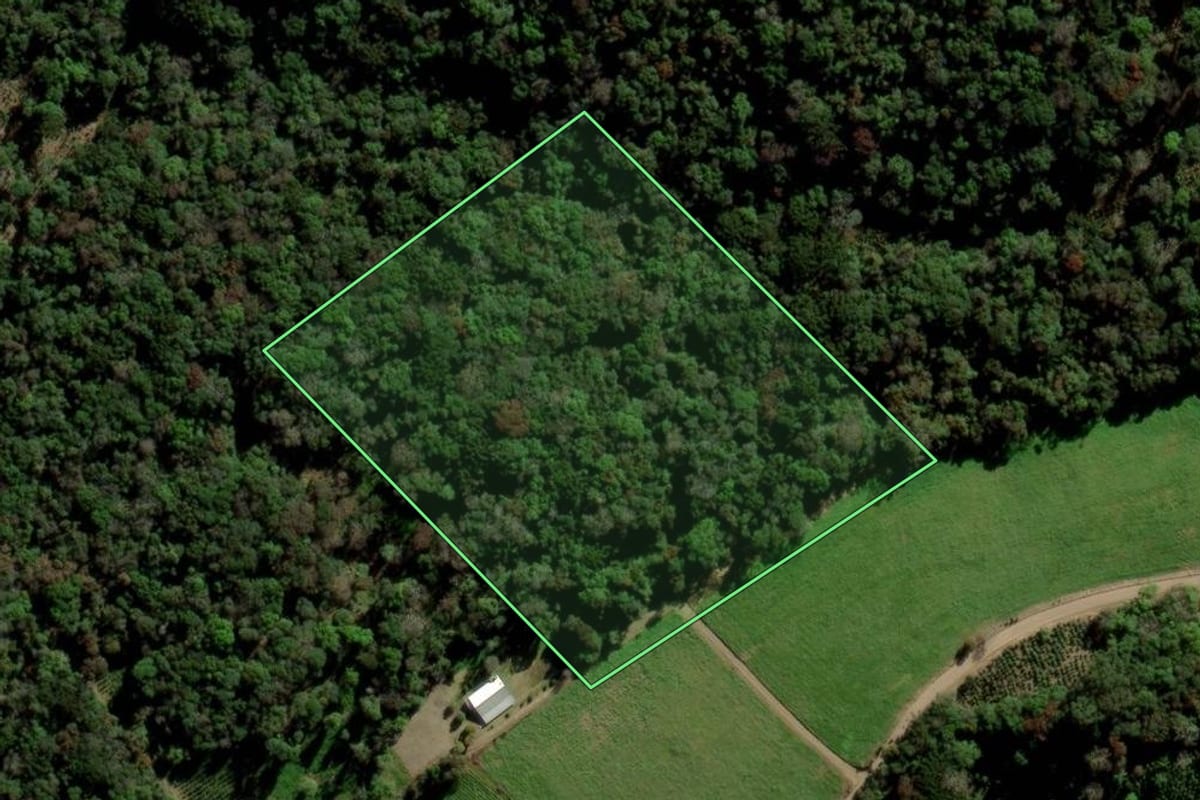 Imagem de satélite do imóvel rural em Arvorezinha (RS), com o contorno declarado no CAR desenhado por cima.