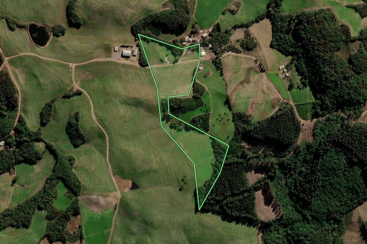 Imagem de satélite do imóvel rural em Arvorezinha (RS), com o contorno declarado no CAR desenhado por cima.