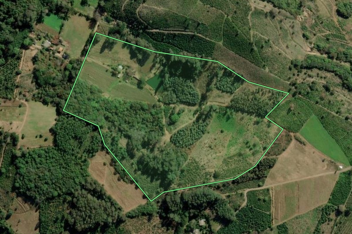 Imagem de satélite do imóvel rural em Arvorezinha (RS), com o contorno declarado no CAR desenhado por cima.