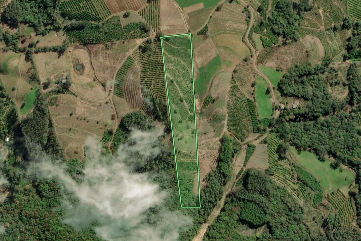 Imagem de satélite do imóvel rural em Arvorezinha (RS), com o contorno declarado no CAR desenhado por cima.