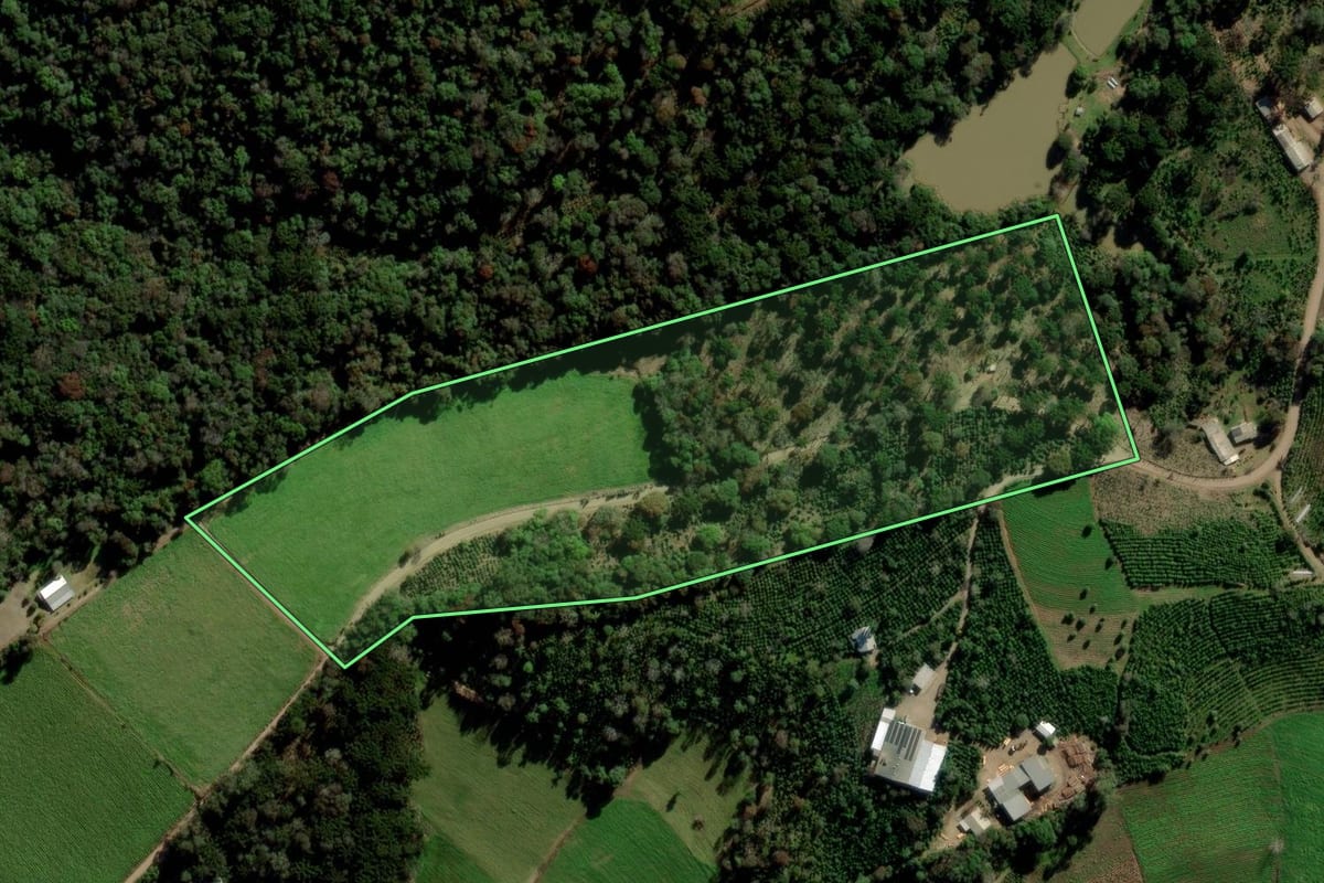 Imagem de satélite do imóvel rural em Arvorezinha (RS), com o contorno declarado no CAR desenhado por cima.