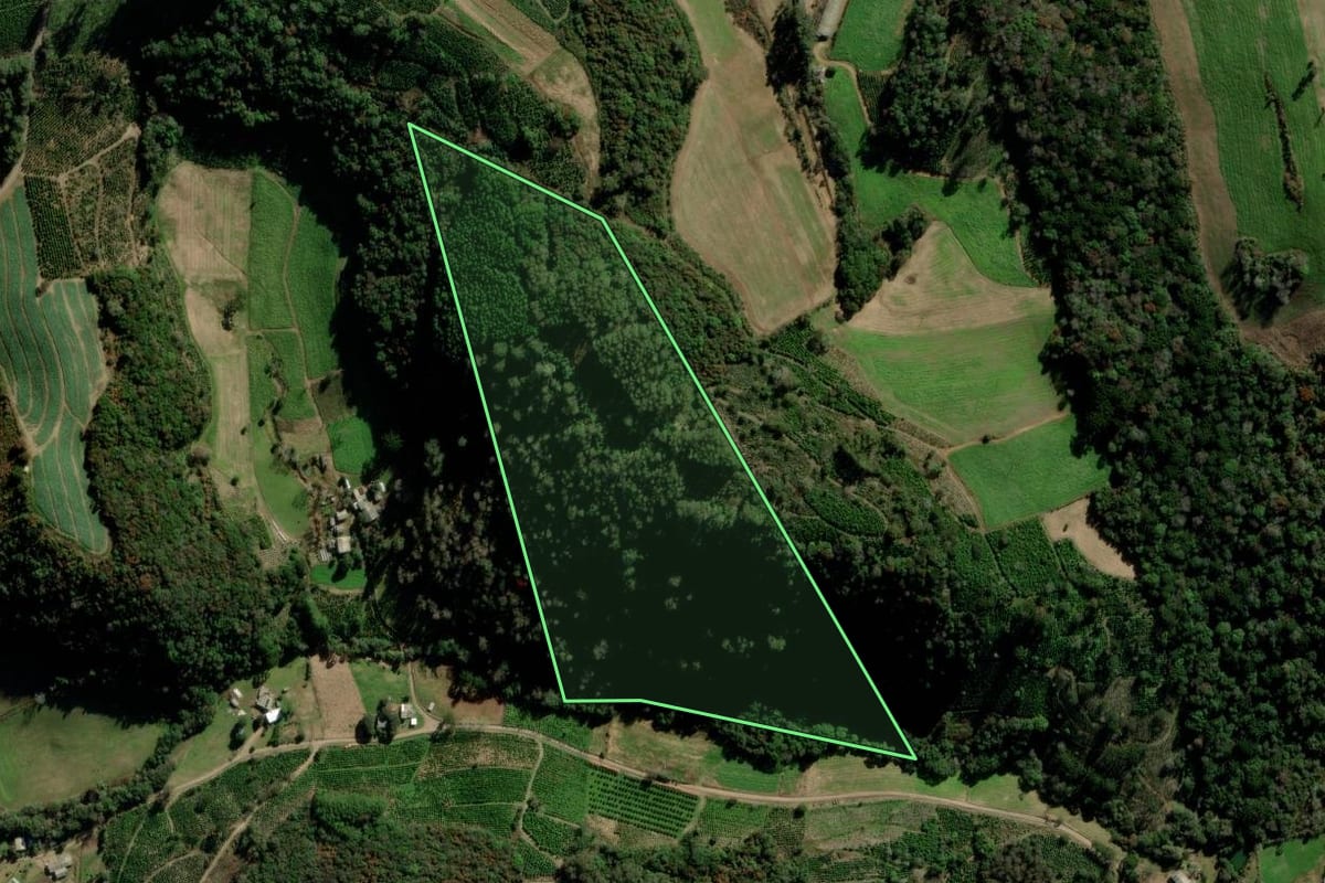 Imagem de satélite do imóvel rural em Arvorezinha (RS), com o contorno declarado no CAR desenhado por cima.