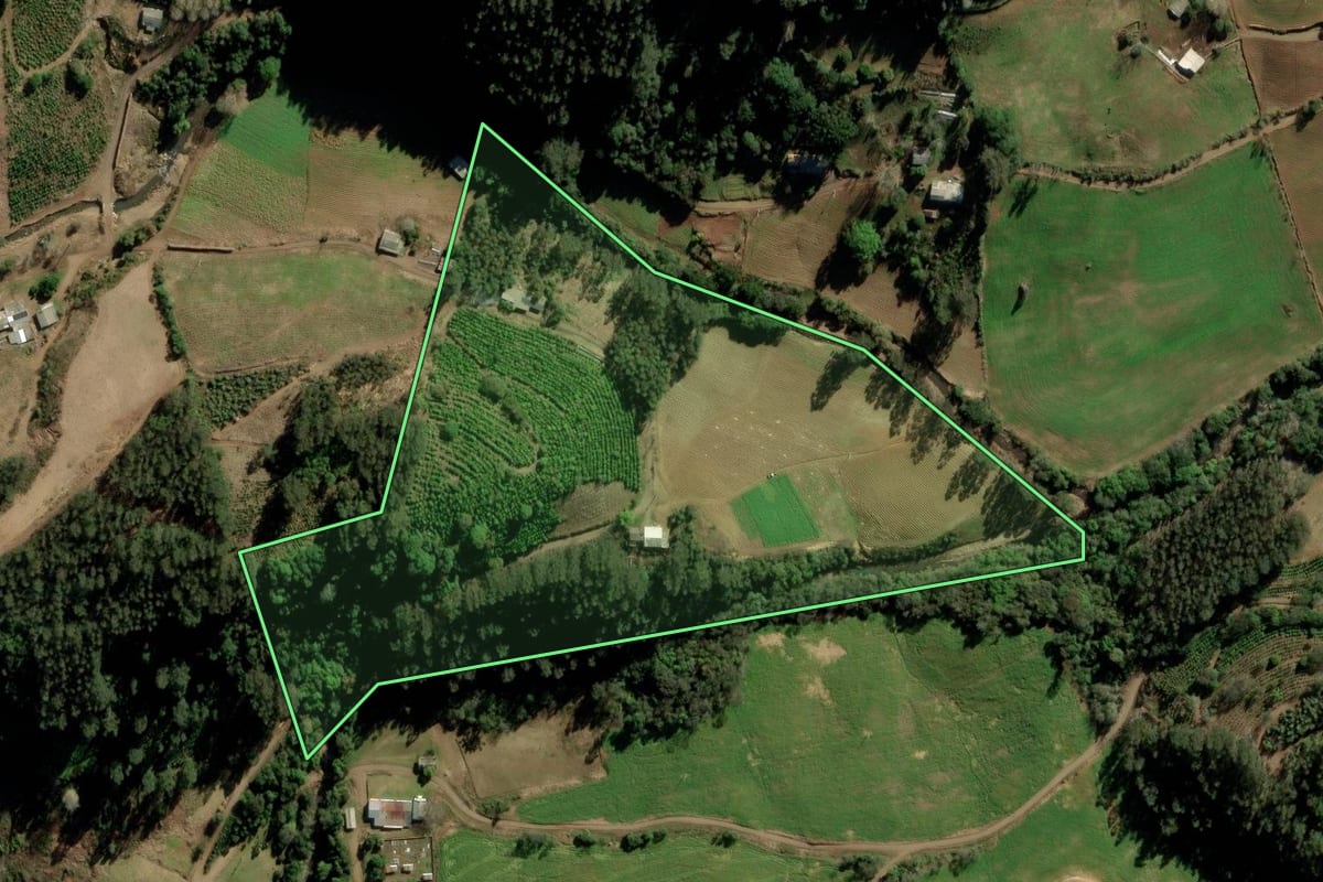 Imagem de satélite do imóvel rural em Arvorezinha (RS), com o contorno declarado no CAR desenhado por cima.
