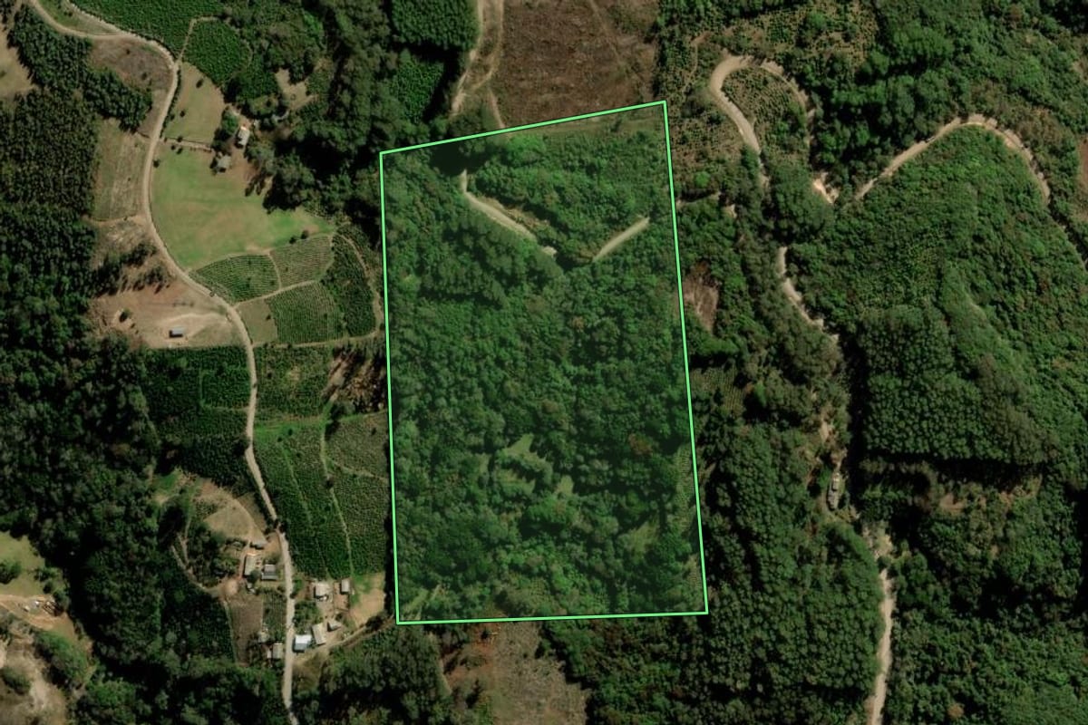 Imagem de satélite do imóvel rural em Arvorezinha (RS), com o contorno declarado no CAR desenhado por cima.