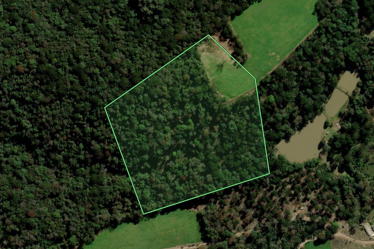 Imagem de satélite do imóvel rural em Arvorezinha (RS), com o contorno declarado no CAR desenhado por cima.