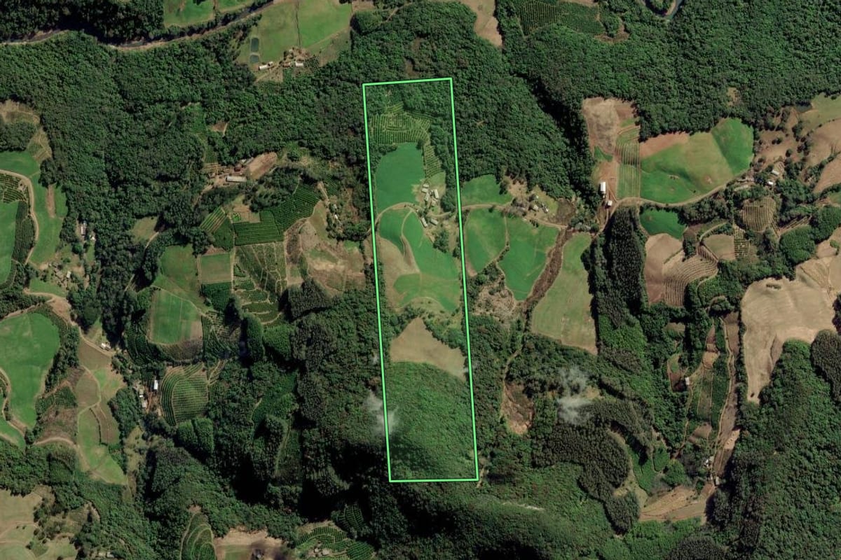 Imagem de satélite do imóvel rural em Arvorezinha (RS), com o contorno declarado no CAR desenhado por cima.