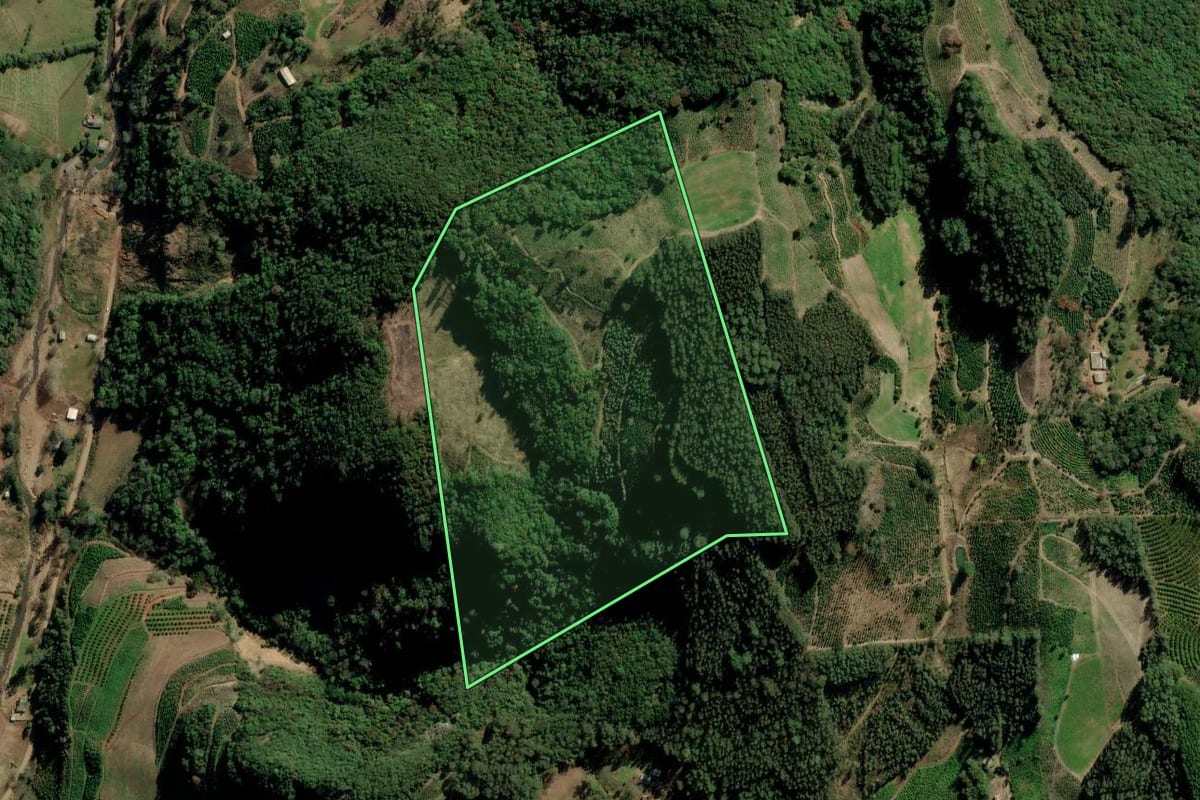 Imagem de satélite do imóvel rural em Arvorezinha (RS), com o contorno declarado no CAR desenhado por cima.