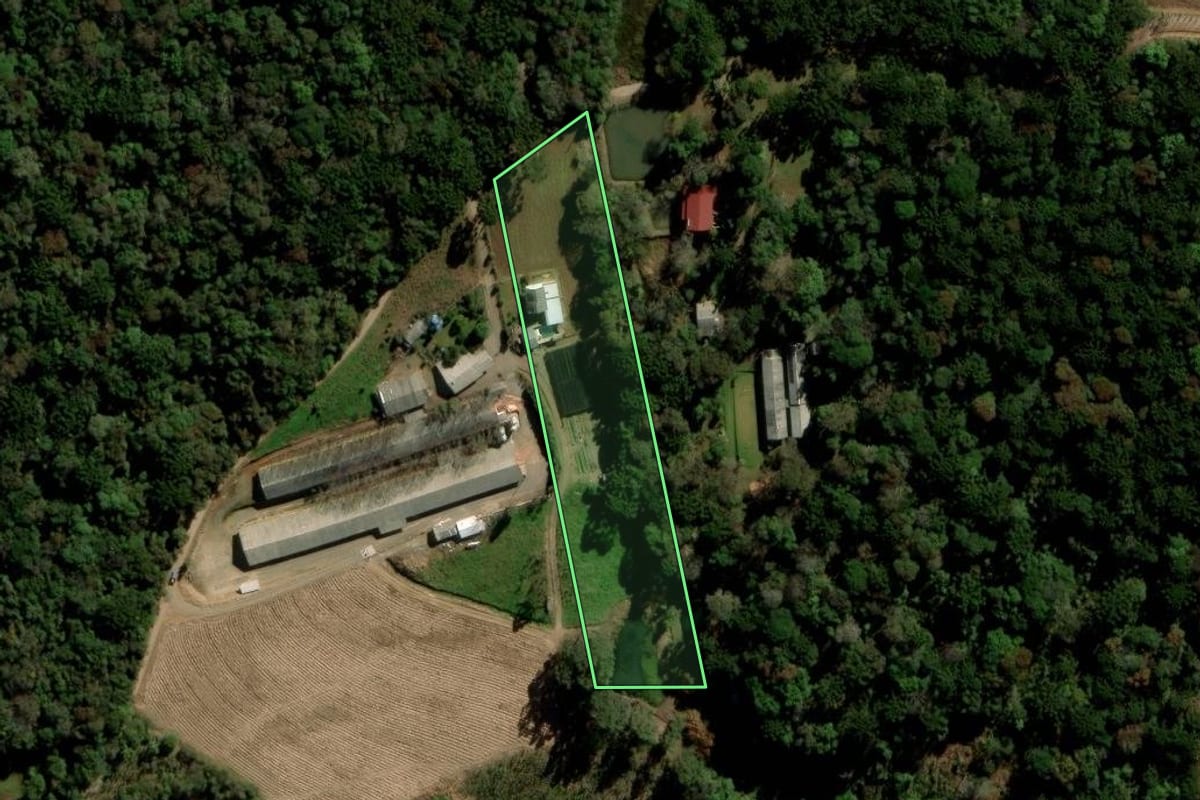 Imagem de satélite do imóvel rural em Arvorezinha (RS), com o contorno declarado no CAR desenhado por cima.