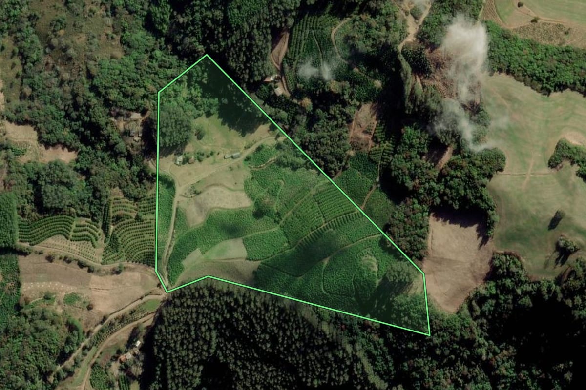 Imagem de satélite do imóvel rural em Arvorezinha (RS), com o contorno declarado no CAR desenhado por cima.