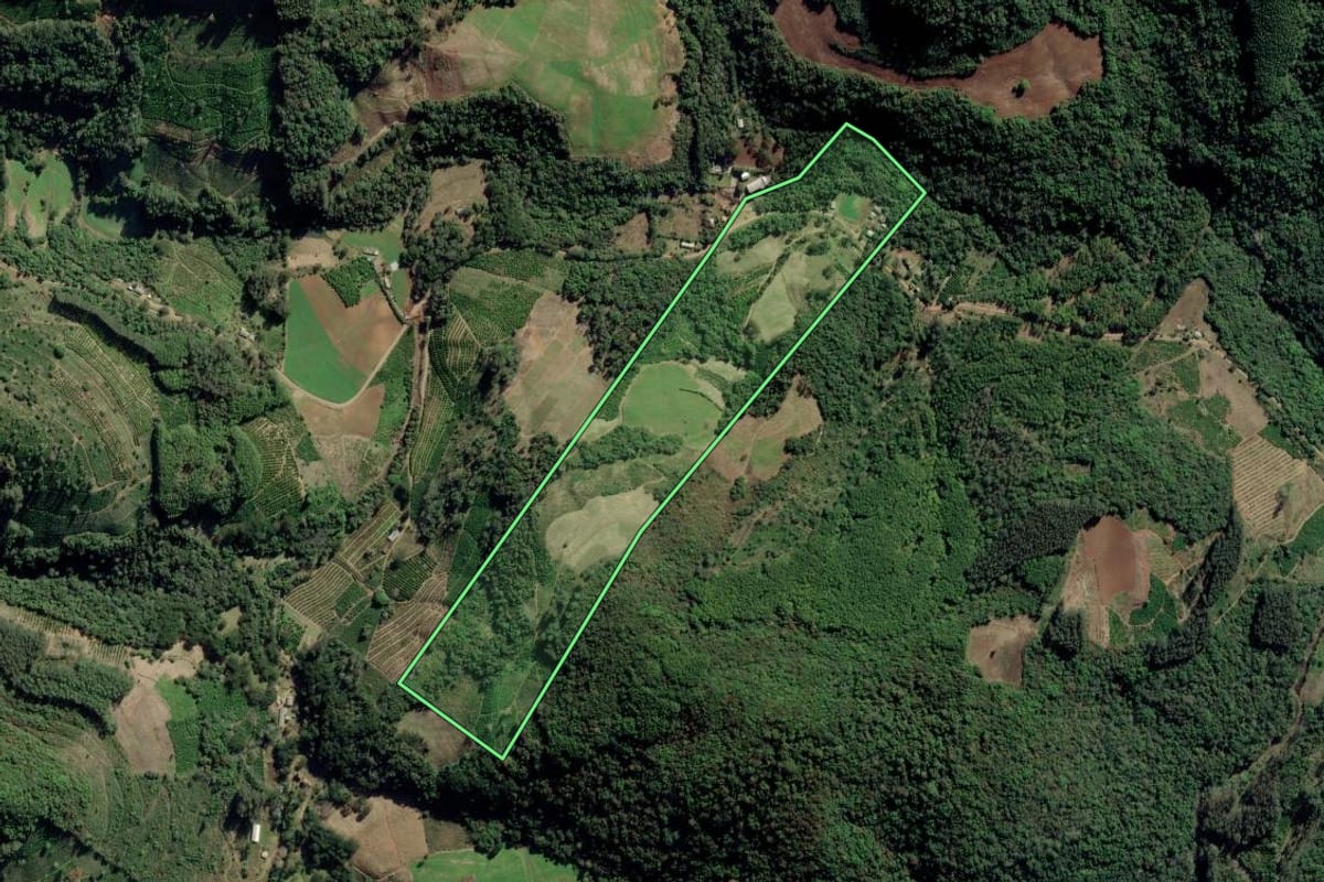 Imagem de satélite do imóvel rural em Arvorezinha (RS), com o contorno declarado no CAR desenhado por cima.