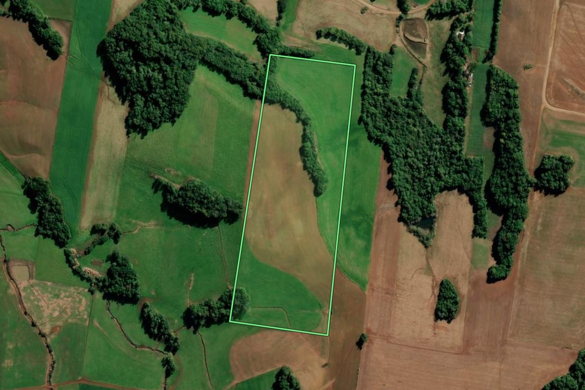 Imagem de satélite do imóvel rural em Augusto Pestana (RS), com o contorno declarado no CAR desenhado por cima.