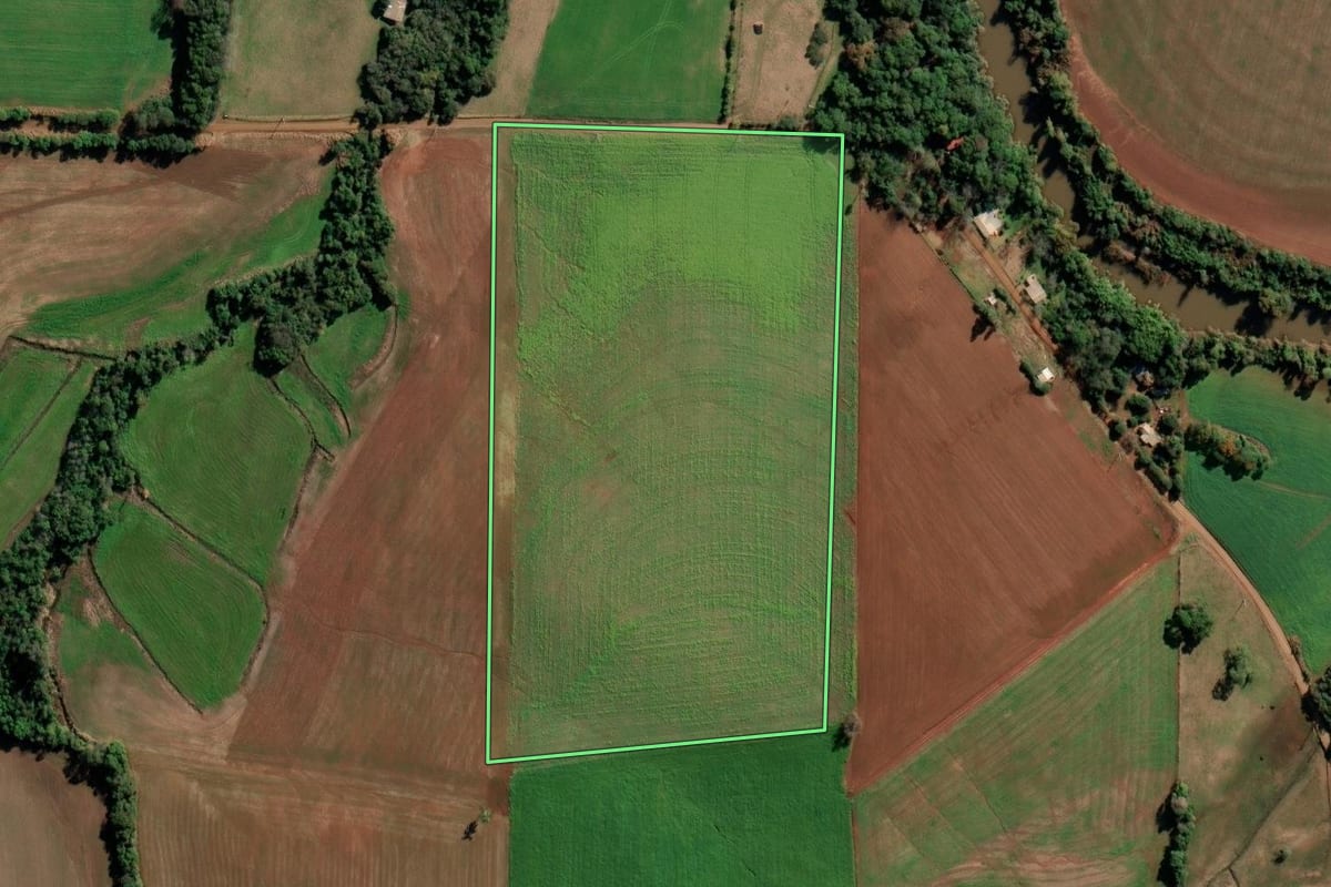 Imagem de satélite do imóvel rural em Augusto Pestana (RS), com o contorno declarado no CAR desenhado por cima.