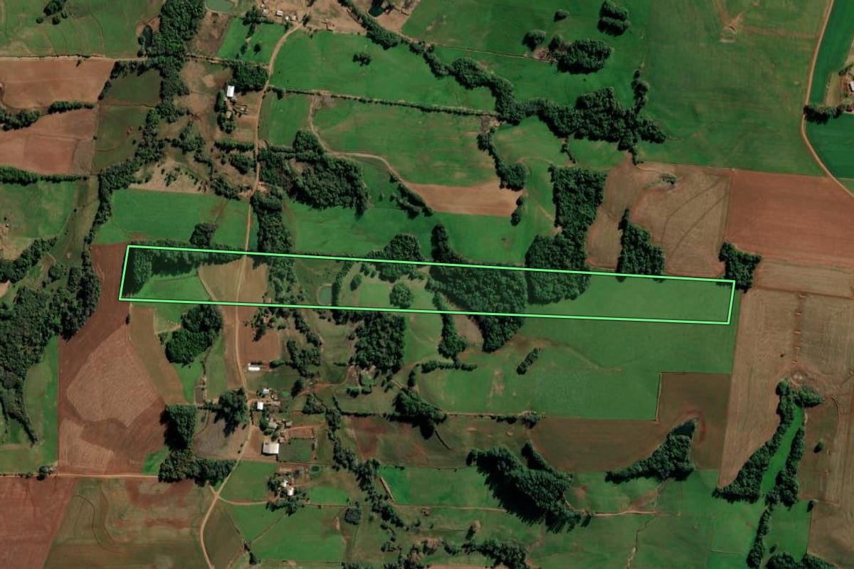 Imagem de satélite do imóvel rural em Augusto Pestana (RS), com o contorno declarado no CAR desenhado por cima.
