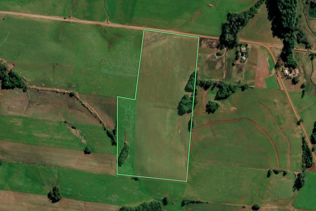 Imagem de satélite do imóvel rural em Augusto Pestana (RS), com o contorno declarado no CAR desenhado por cima.