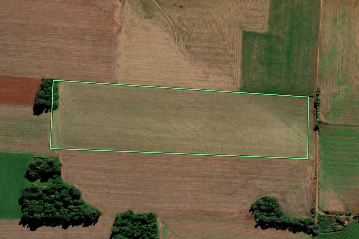 Imagem de satélite do imóvel rural em Augusto Pestana (RS), com o contorno declarado no CAR desenhado por cima.