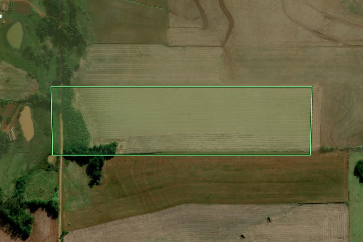 Imagem de satélite do imóvel rural em Augusto Pestana (RS), com o contorno declarado no CAR desenhado por cima.
